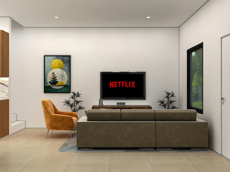 The Netflix Story, From DVD Rentals to Streaming the World
